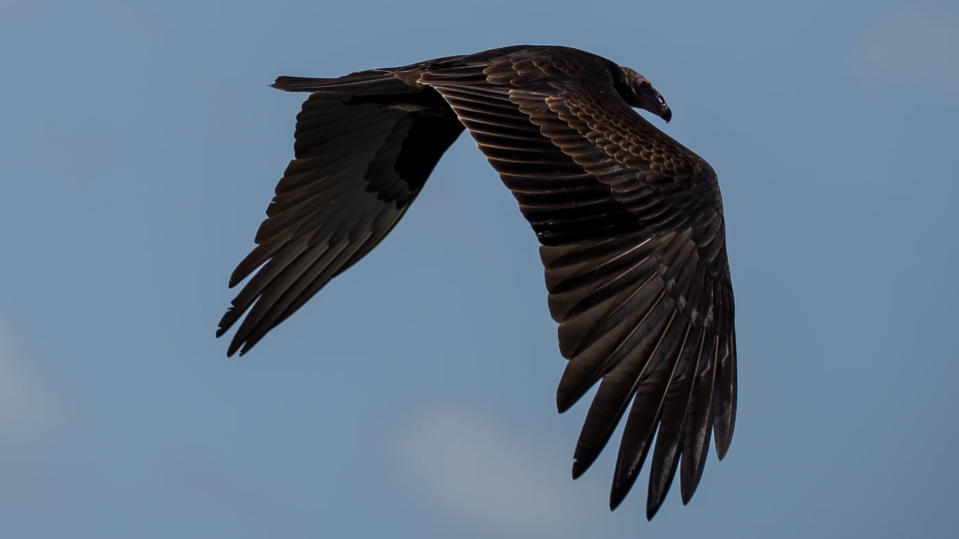 Fotoshooting snapshot.style