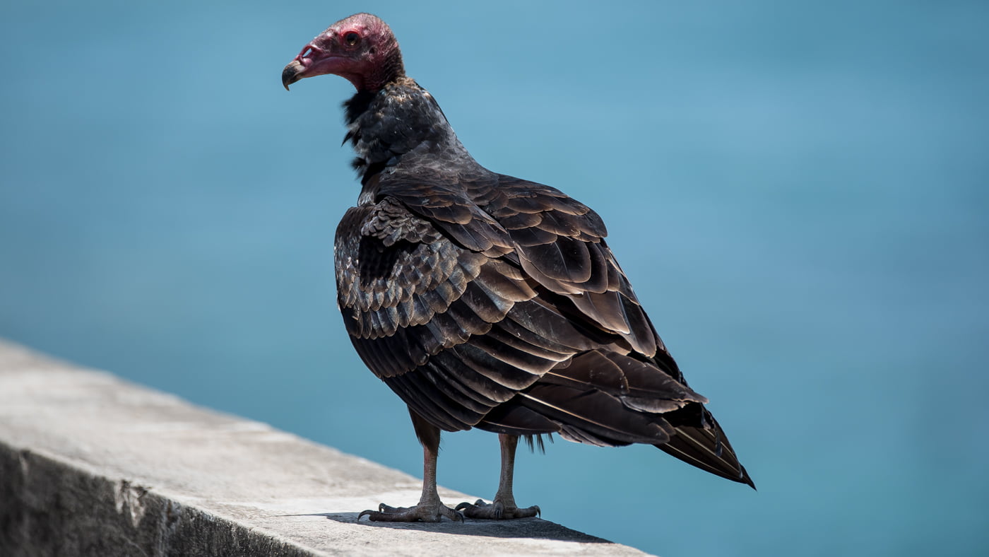 Fotoshooting snapshot.style