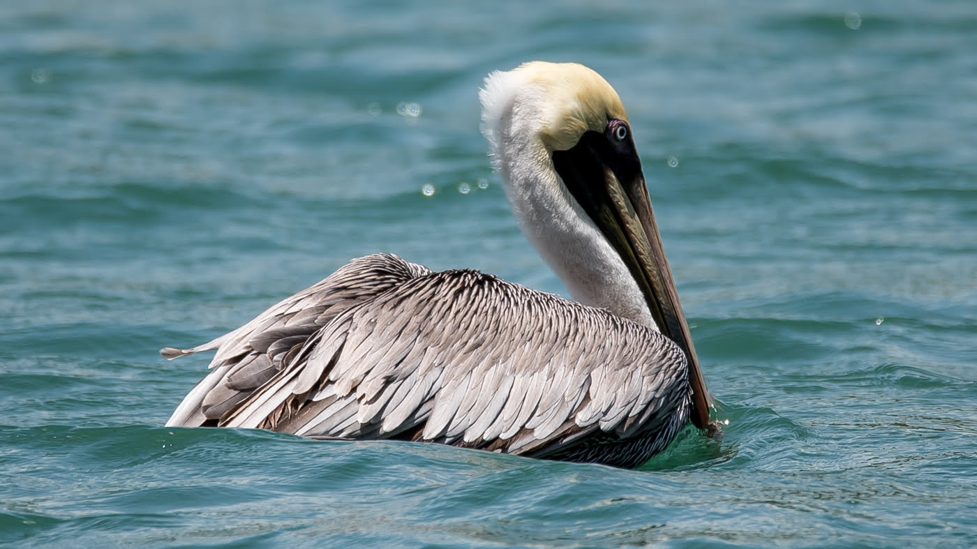 Fotoshooting snapshot.style