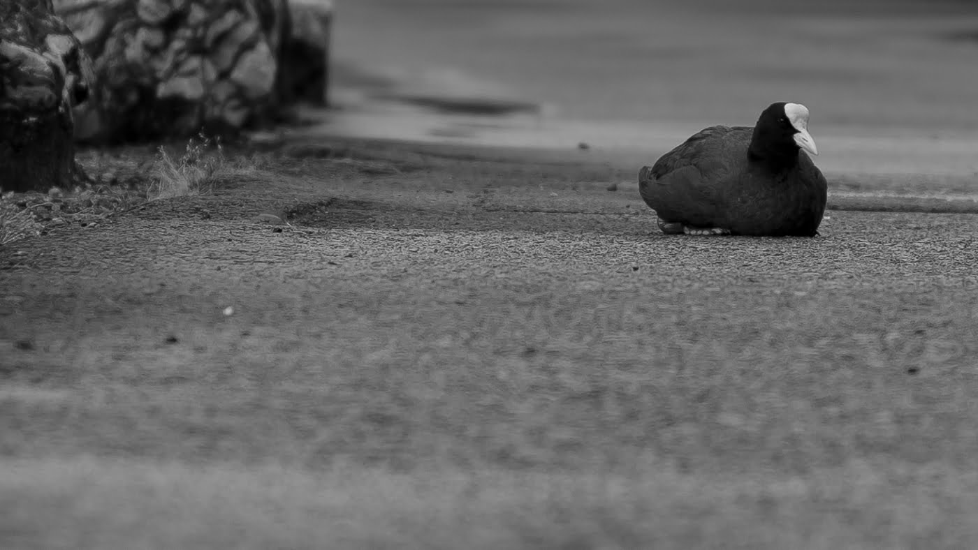 Fotoshooting snapshot.style