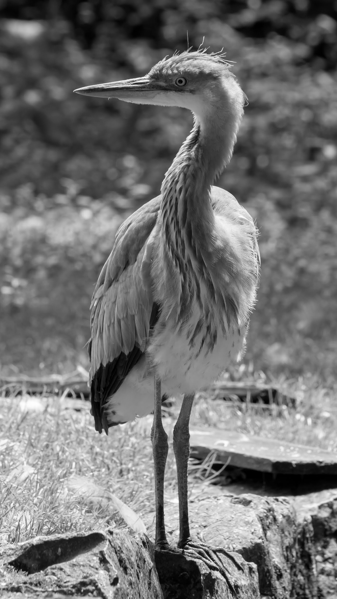 Fotoshooting snapshot.style