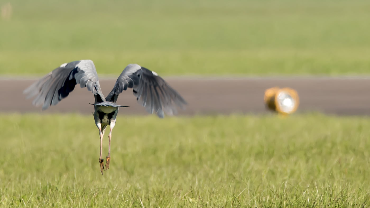 Fotoshooting snapshot.style