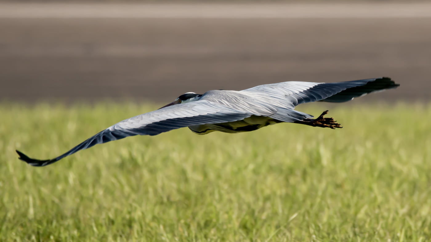 Fotoshooting snapshot.style