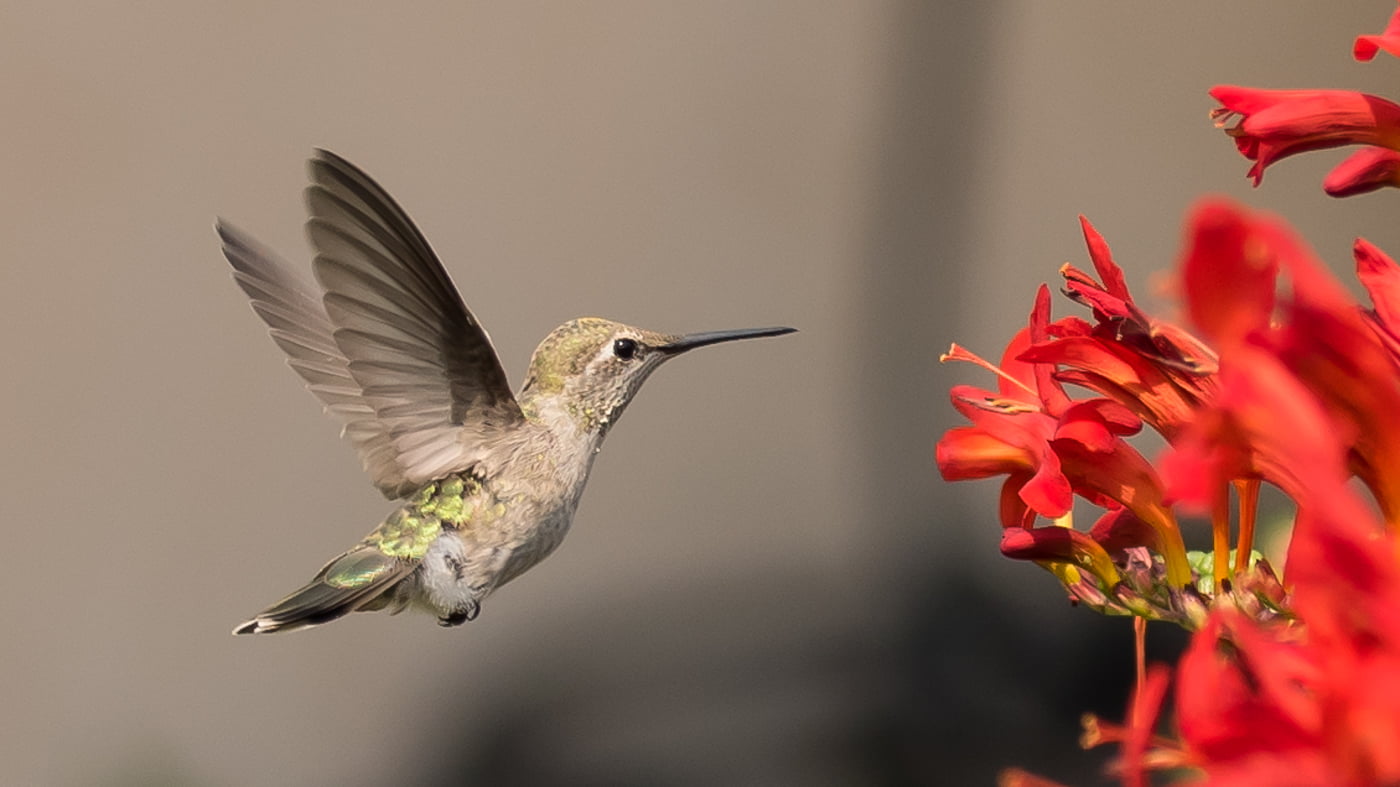 Fotoshooting snapshot.style