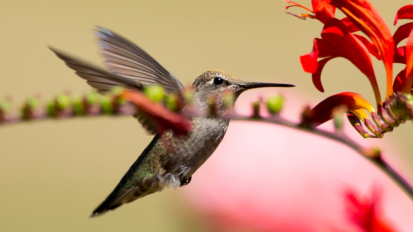 Fotoshooting snapshot.style