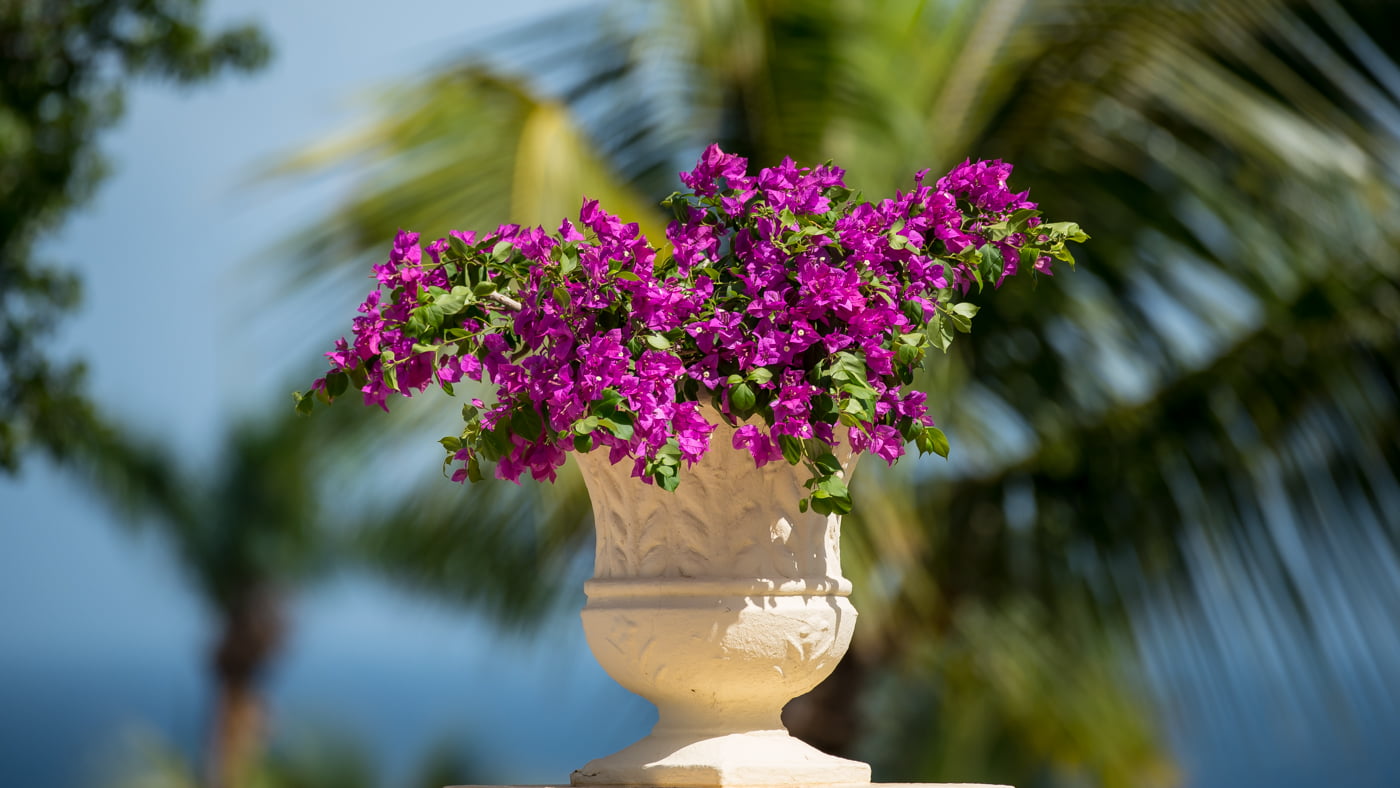 Fotoshooting snapshot.style