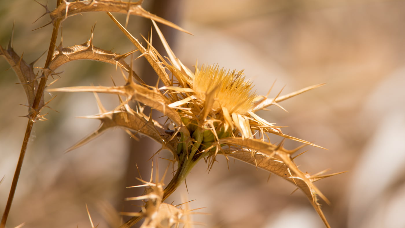 Fotoshooting snapshot.style