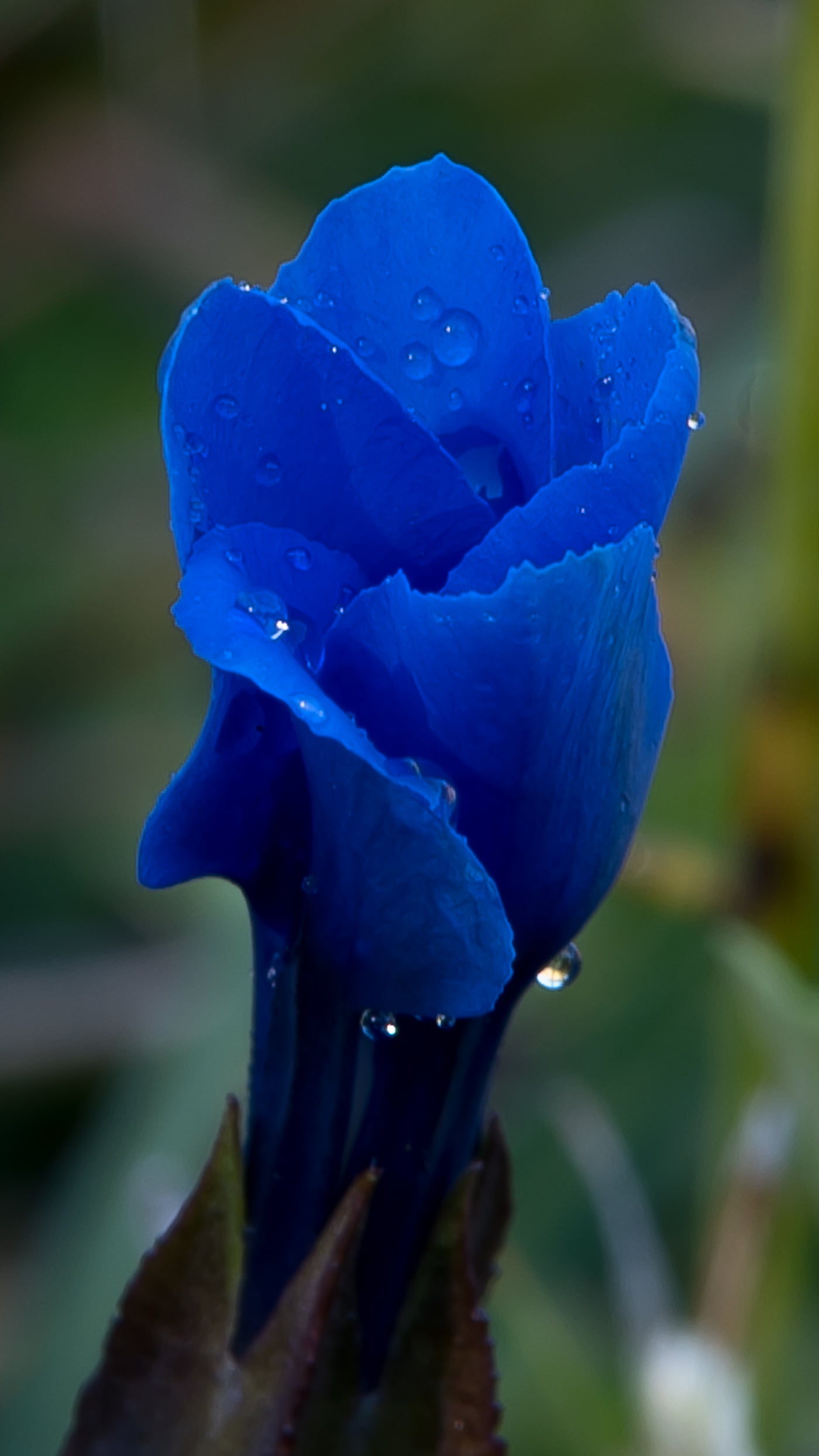 Fotoshooting snapshot.style