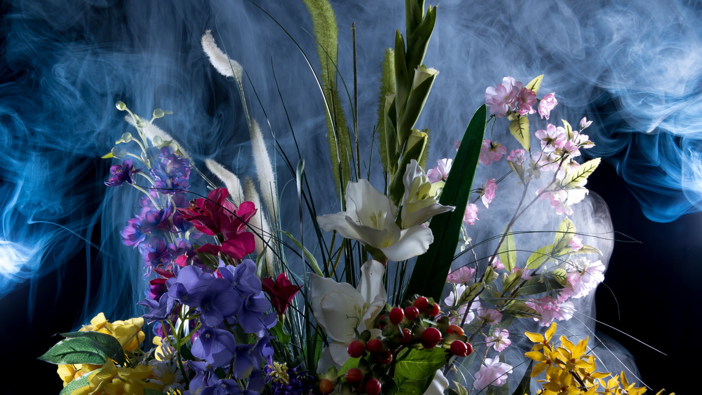 Fotoshooting snapshot.style