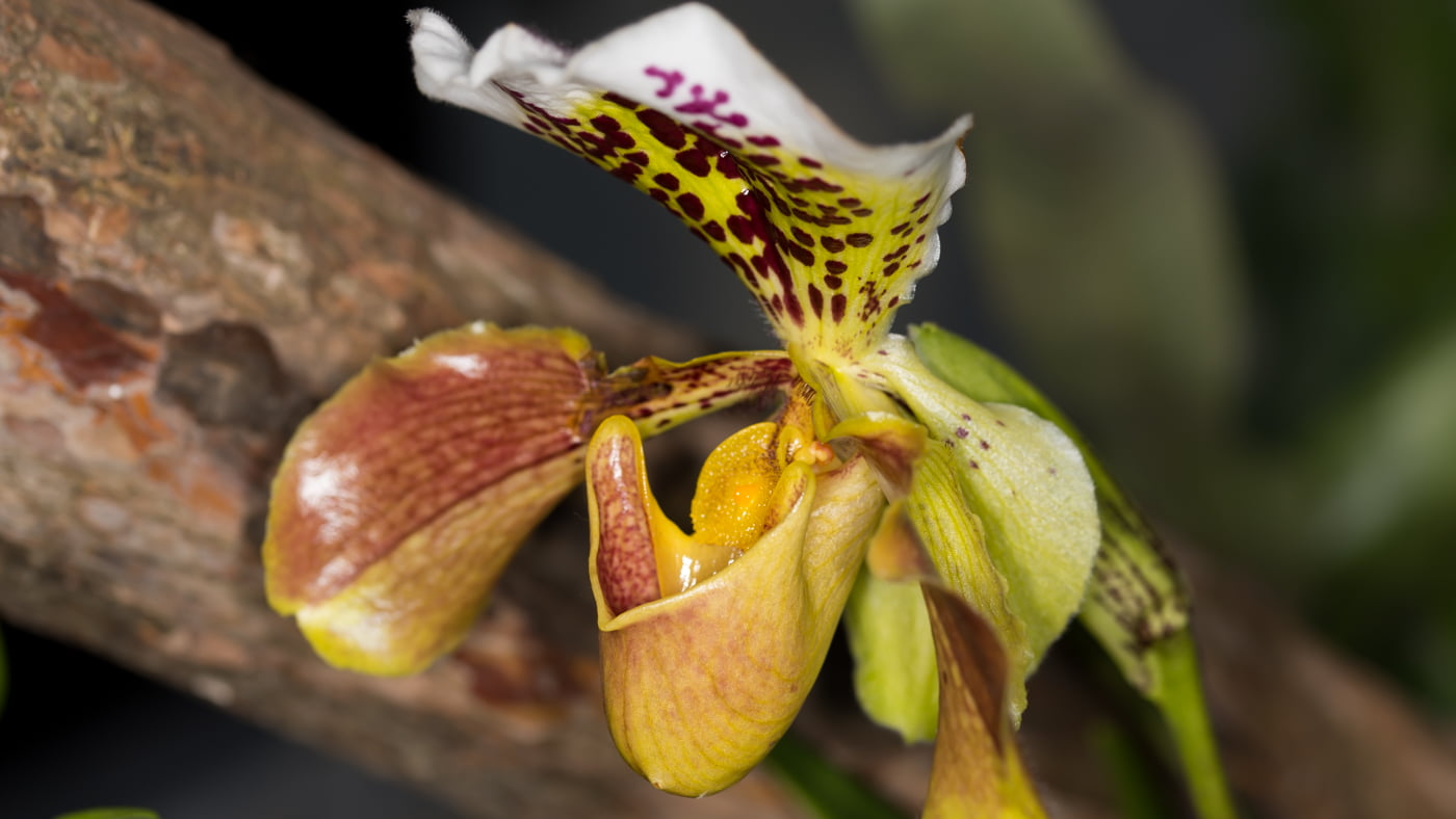 Fotoshooting snapshot.style