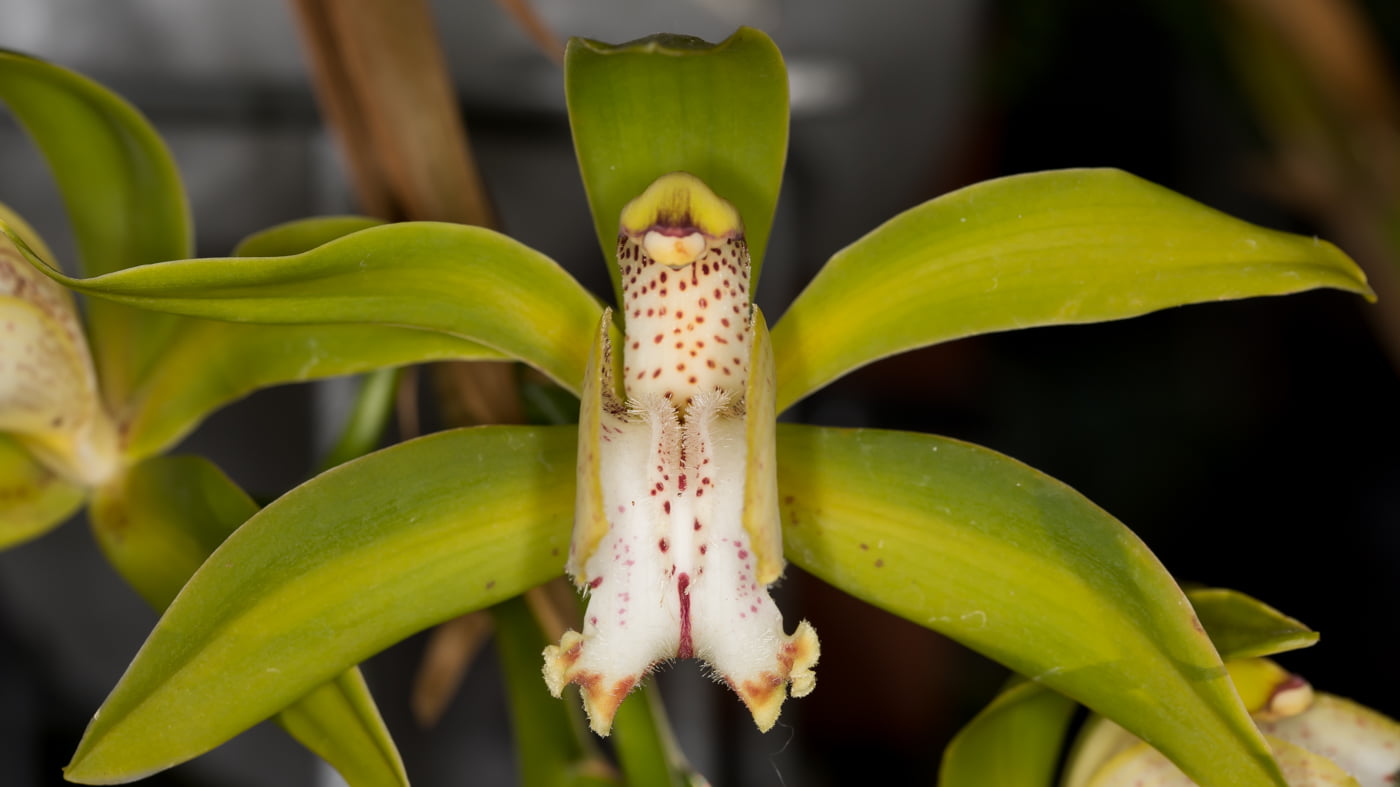 Fotoshooting snapshot.style