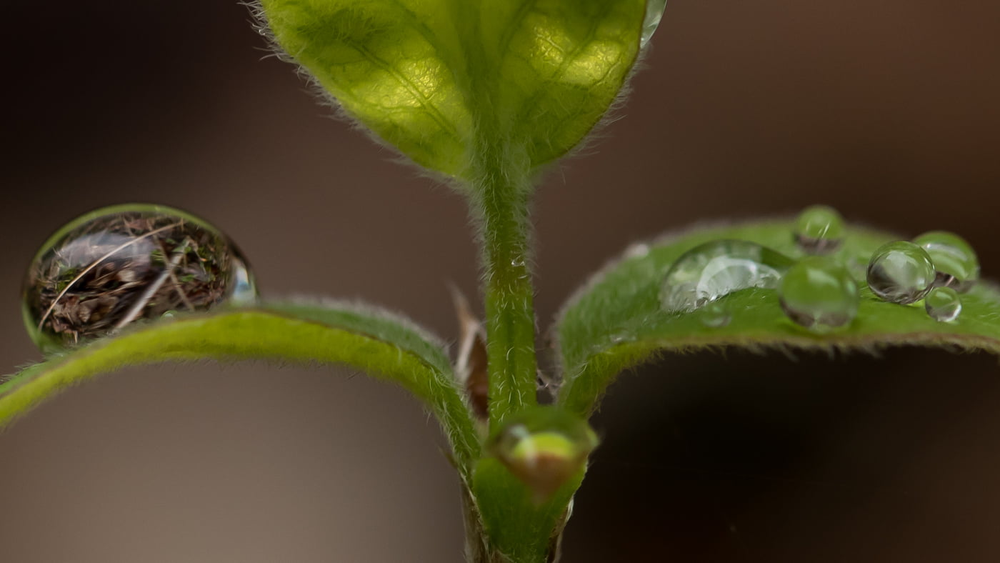 Fotoshooting snapshot.style