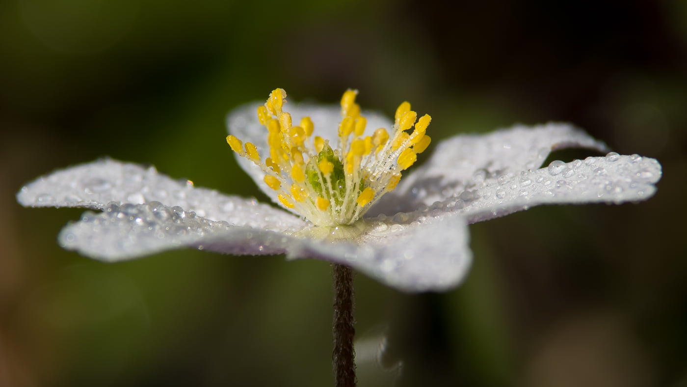 Fotoshooting snapshot.style