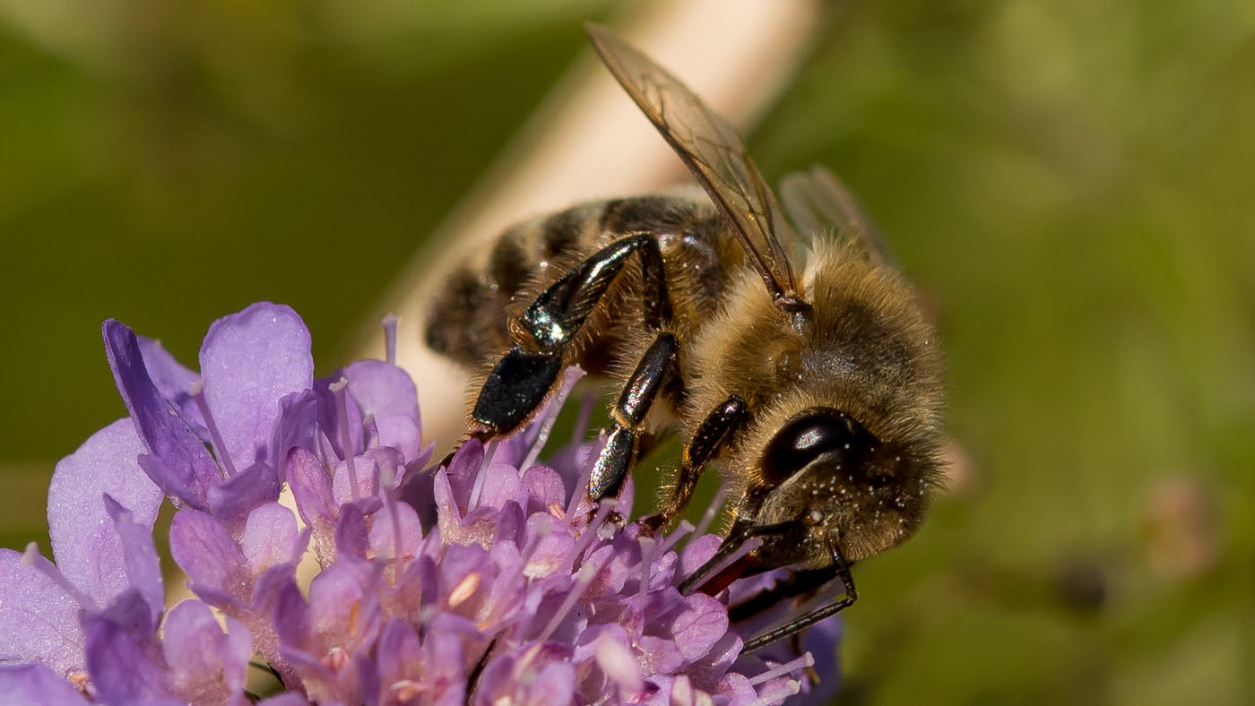 Fotoshooting snapshot.style