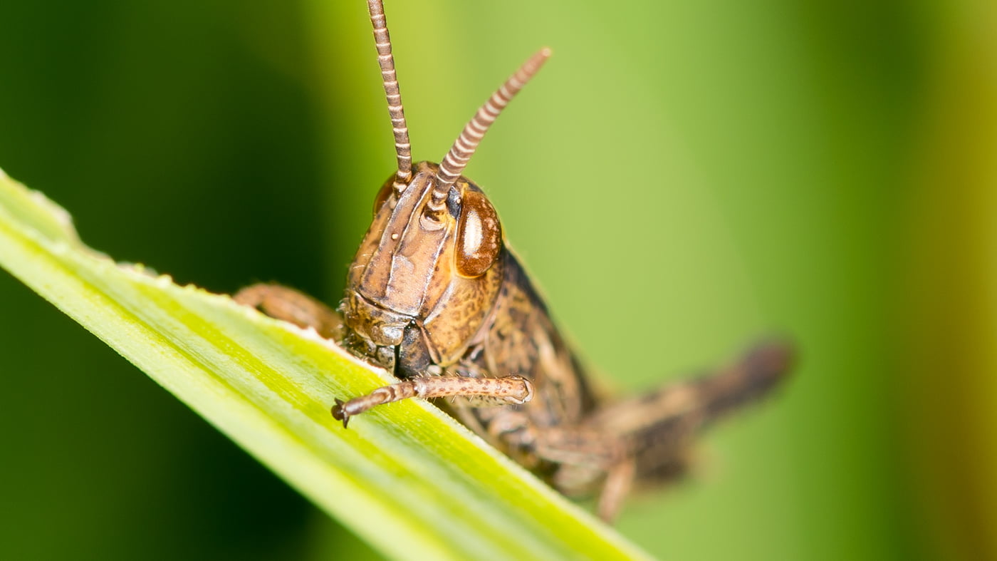 Fotoshooting snapshot.style