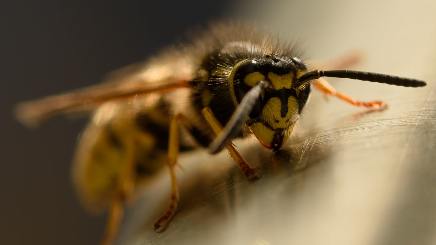 Fotoshooting snapshot.style