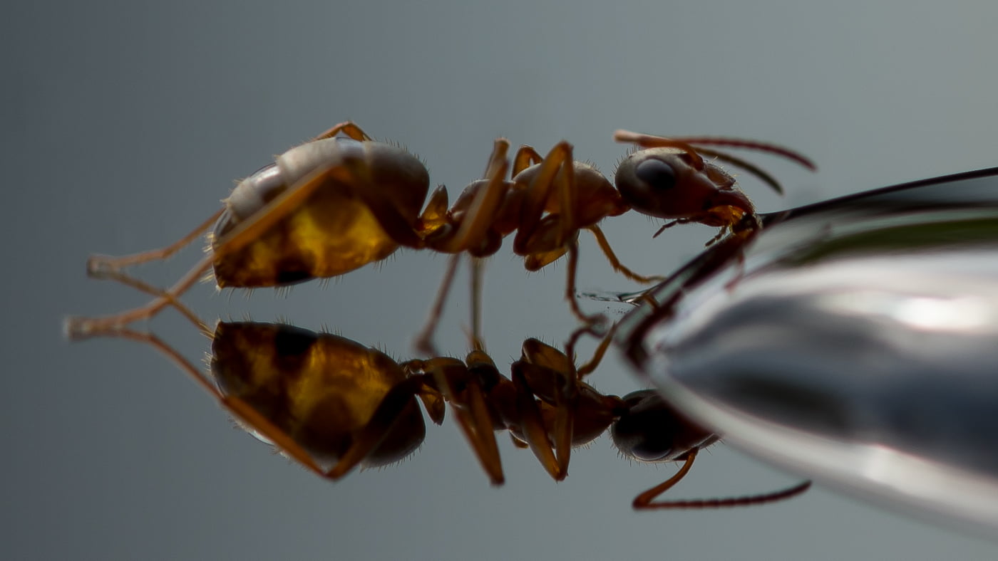 Fotoshooting snapshot.style