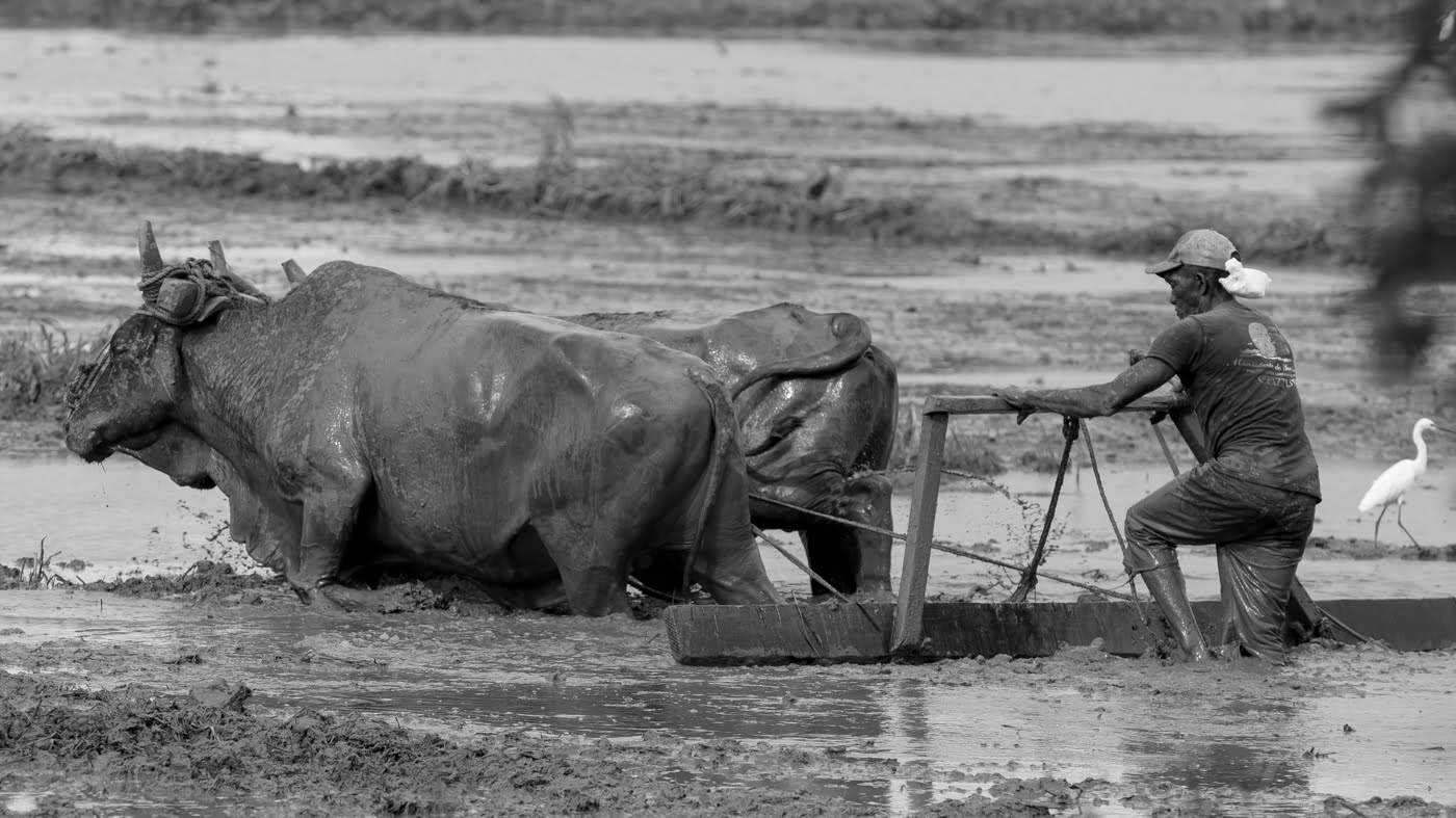 Fotoshooting snapshot.style