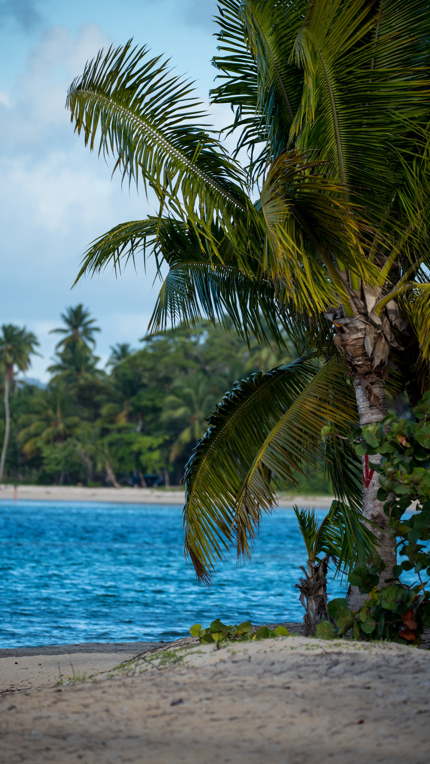 Fotoshooting snapshot.style