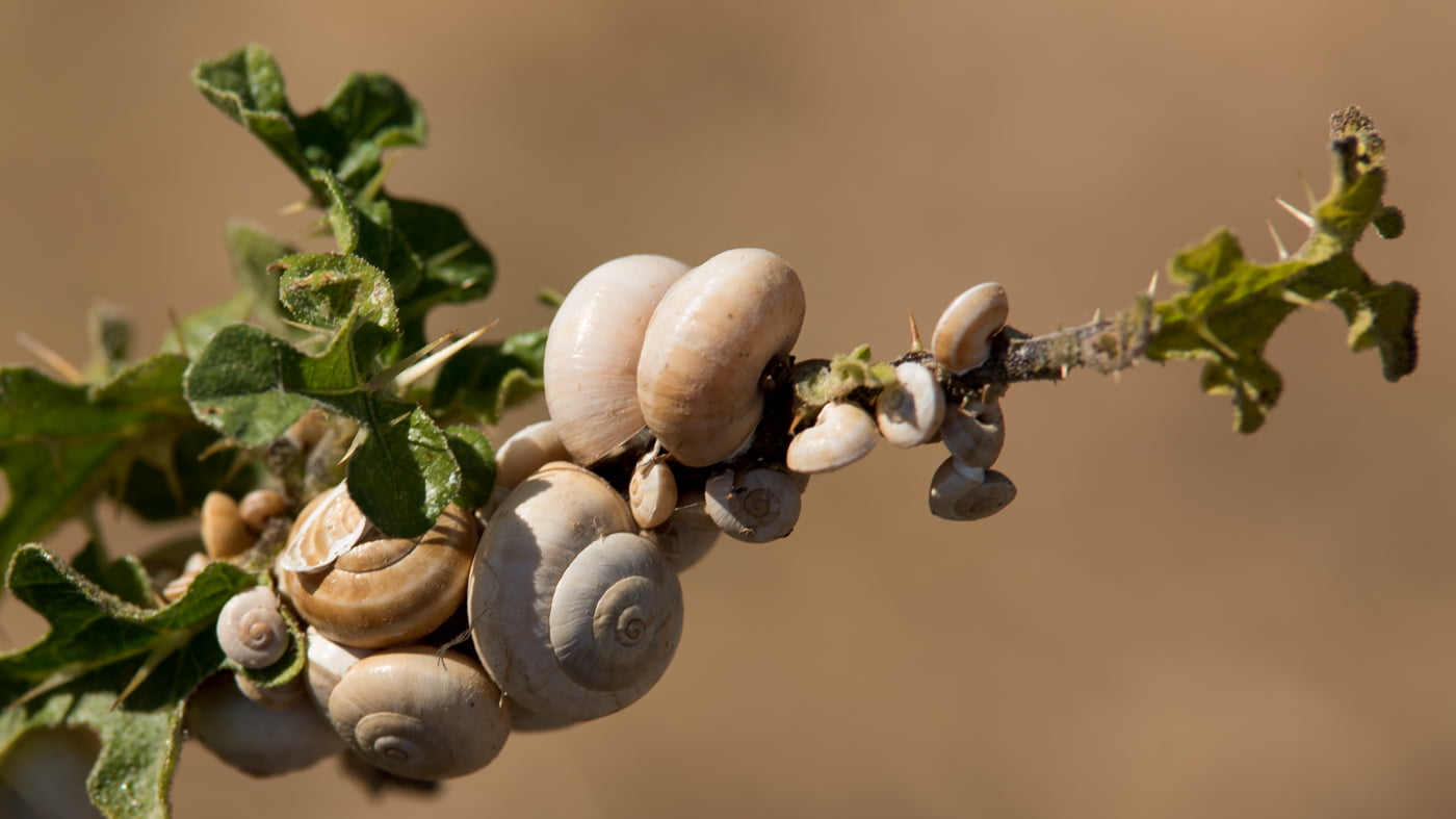 Fotoshooting snapshot.style