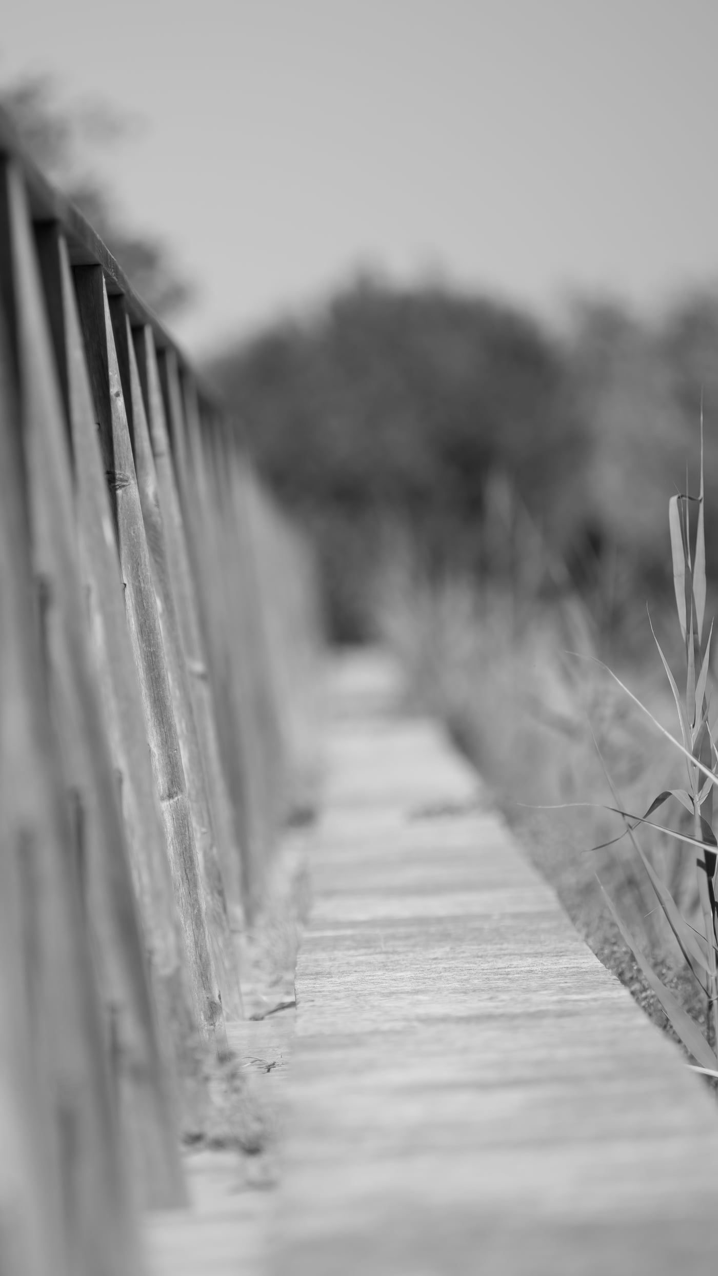 Fotoshooting snapshot.style