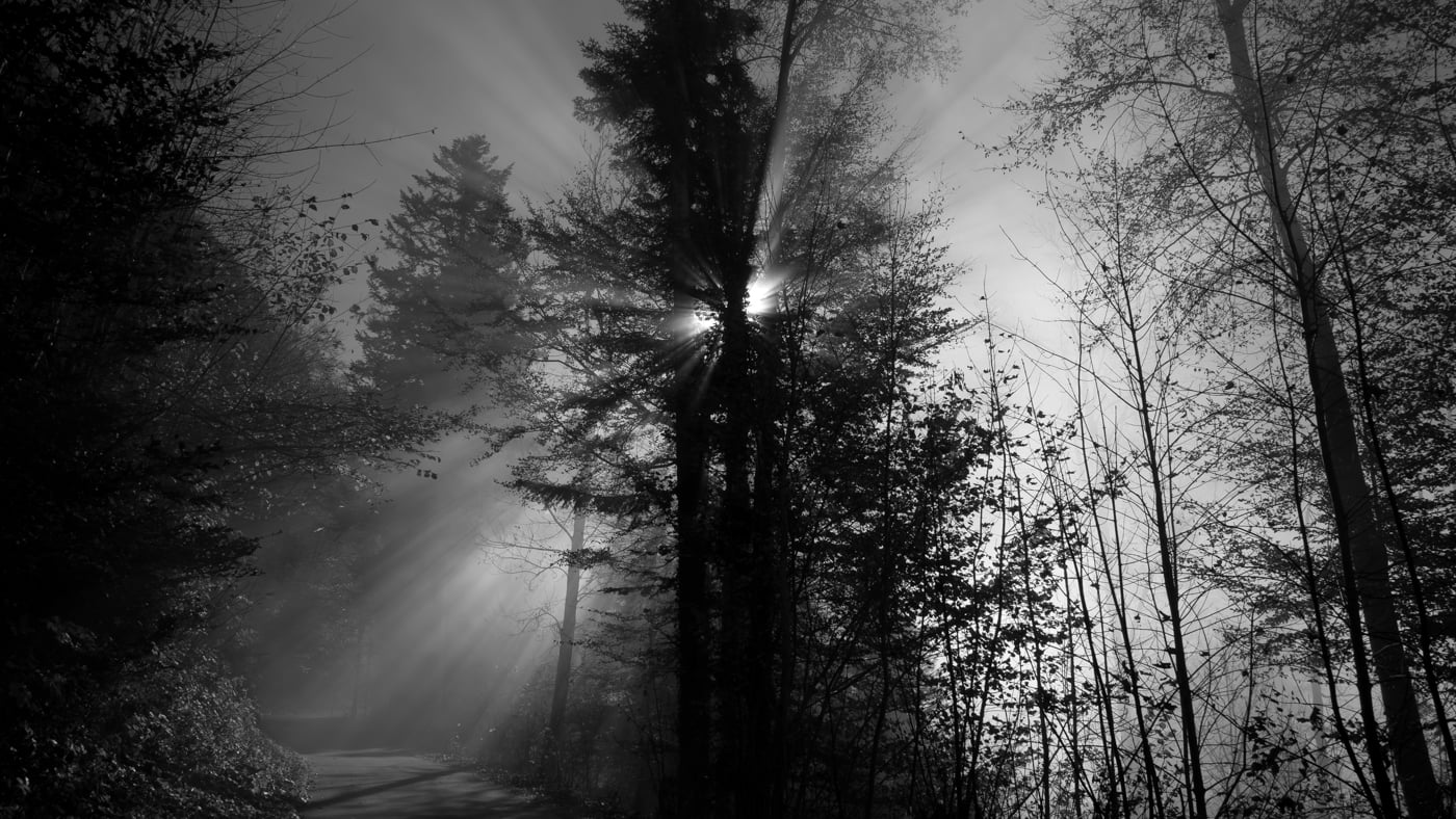 Fotoshooting snapshot.style