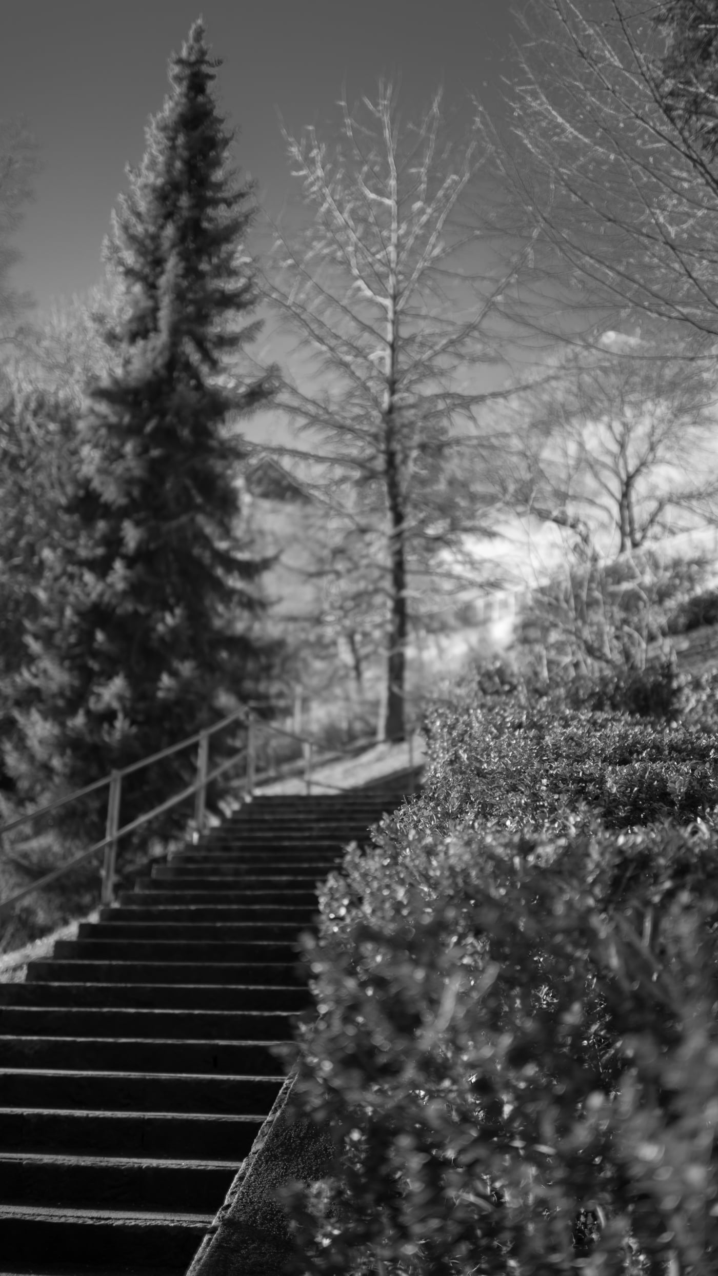 Fotoshooting snapshot.style